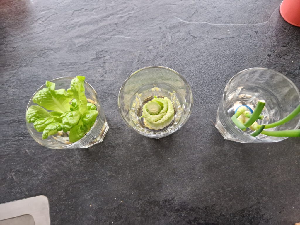 groenten in water